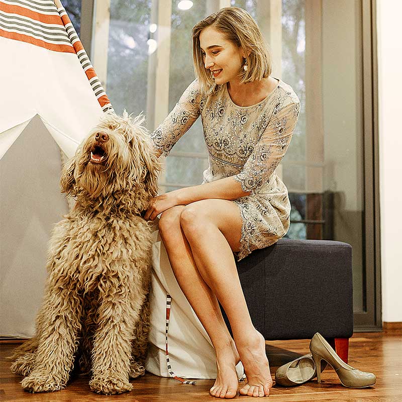 Fotograía de Producto de Perritos 2